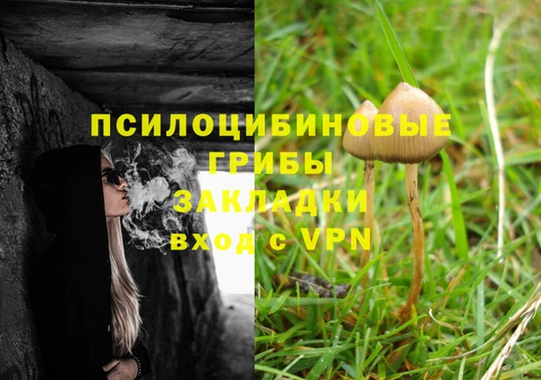 ГАЛЛЮЦИНОГЕННЫЕ ГРИБЫ Алексин