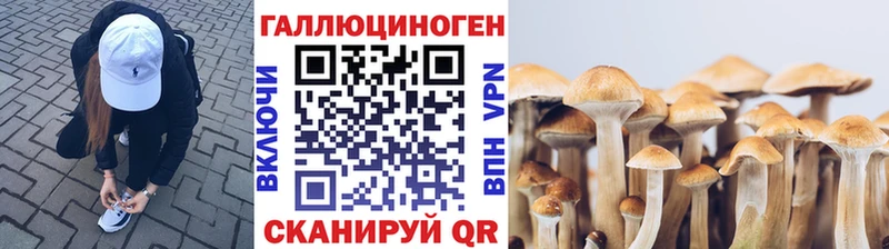 дарнет шоп  Чердынь  Галлюциногенные грибы MAGIC MUSHROOMS 