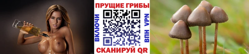 Галлюциногенные грибы мицелий Чердынь